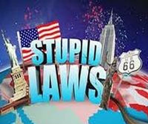 Глупые законы в штатах США
